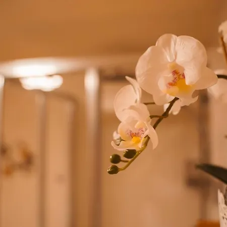 Apartment Hainfeld Daire Hainfeld