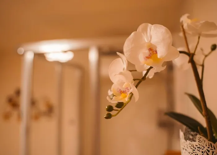 Apartment Hainfeld Апартаменты Hainfeld